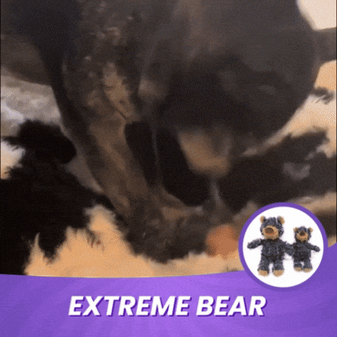 EXTREME BEAR